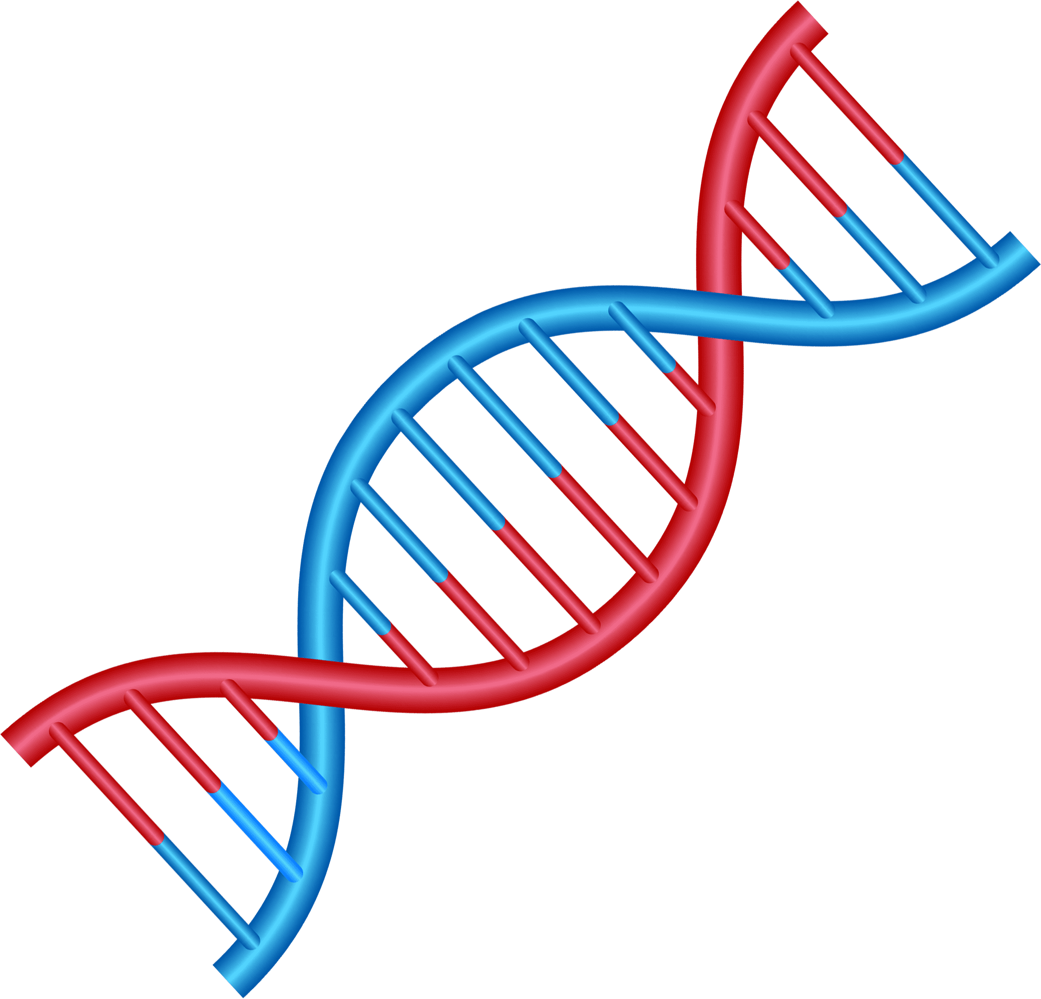 Genau Pathology Laboratories DNA Icon